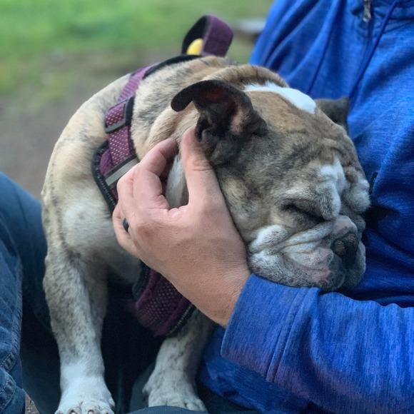 Meet your Posher, Sara - Picture 1 of 1